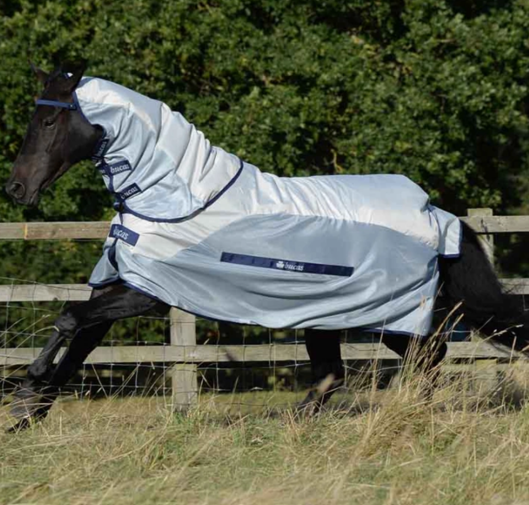 Bucas Buzz Off Rain & Neck Blue pony