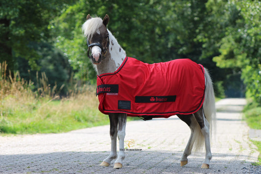 Bucas Sportsline Cooler Mini