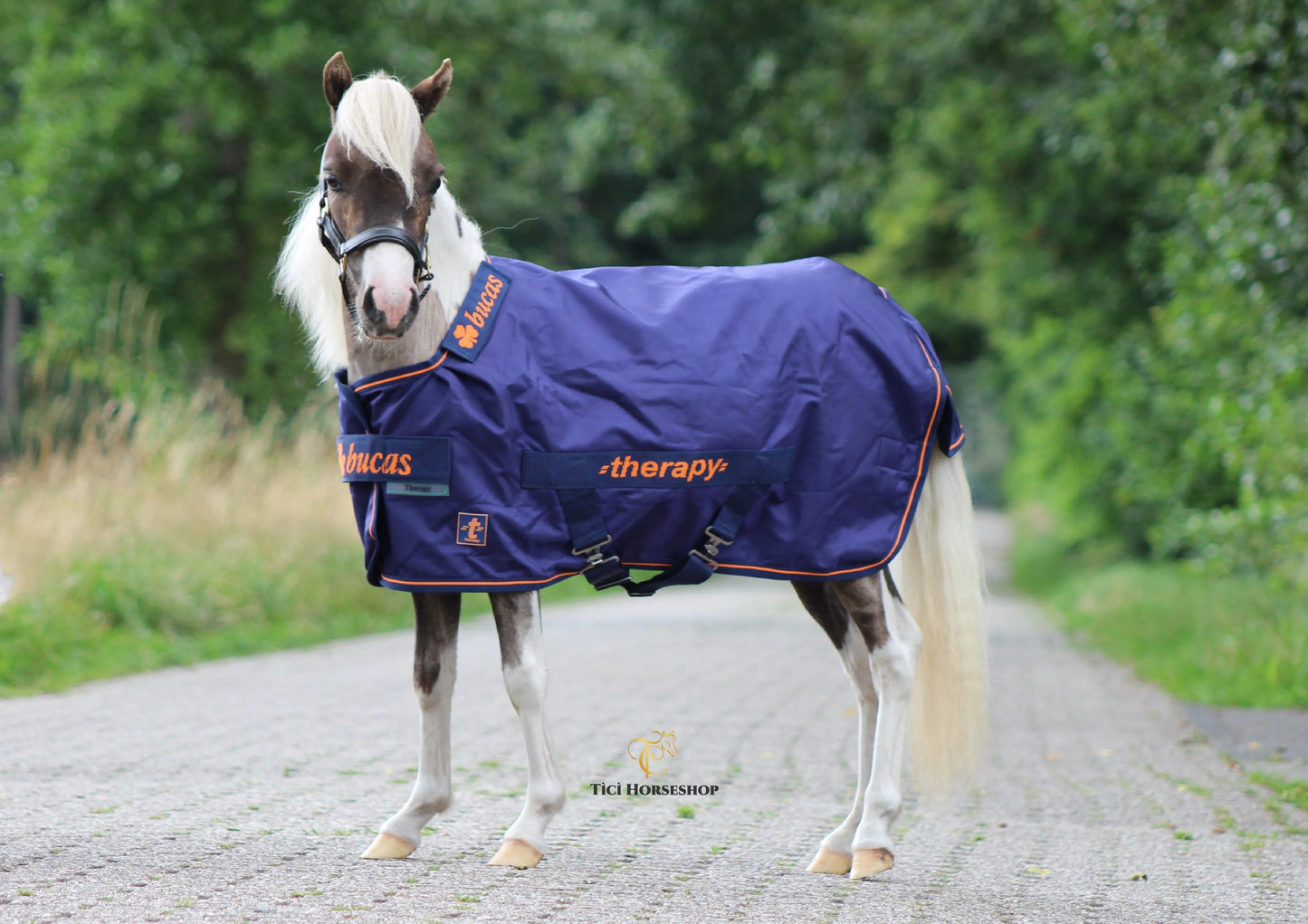 Bucas Therapy Turnout Medium pony