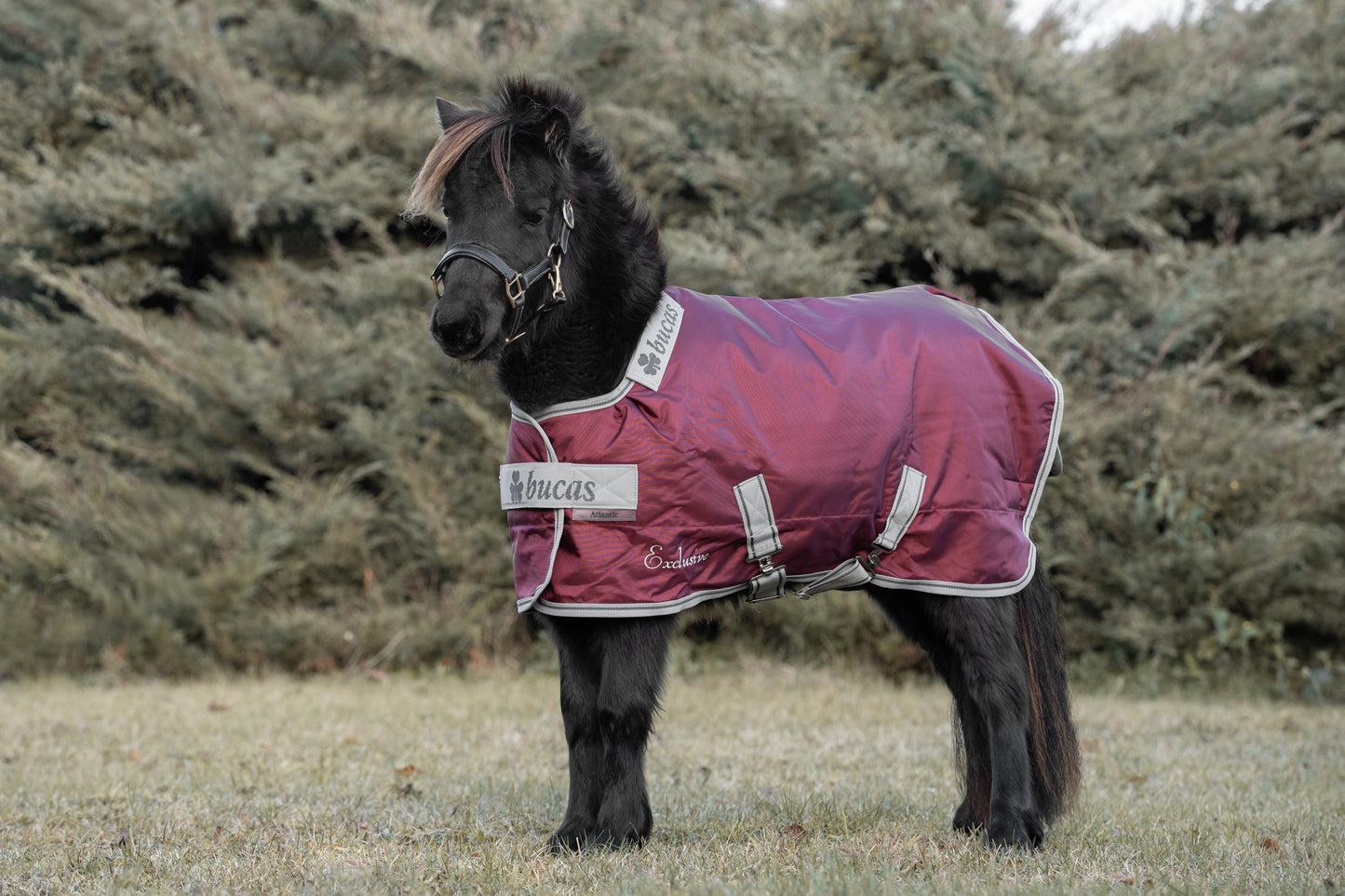 Bucas Atlantic Exclusive Turnout Medium Mini