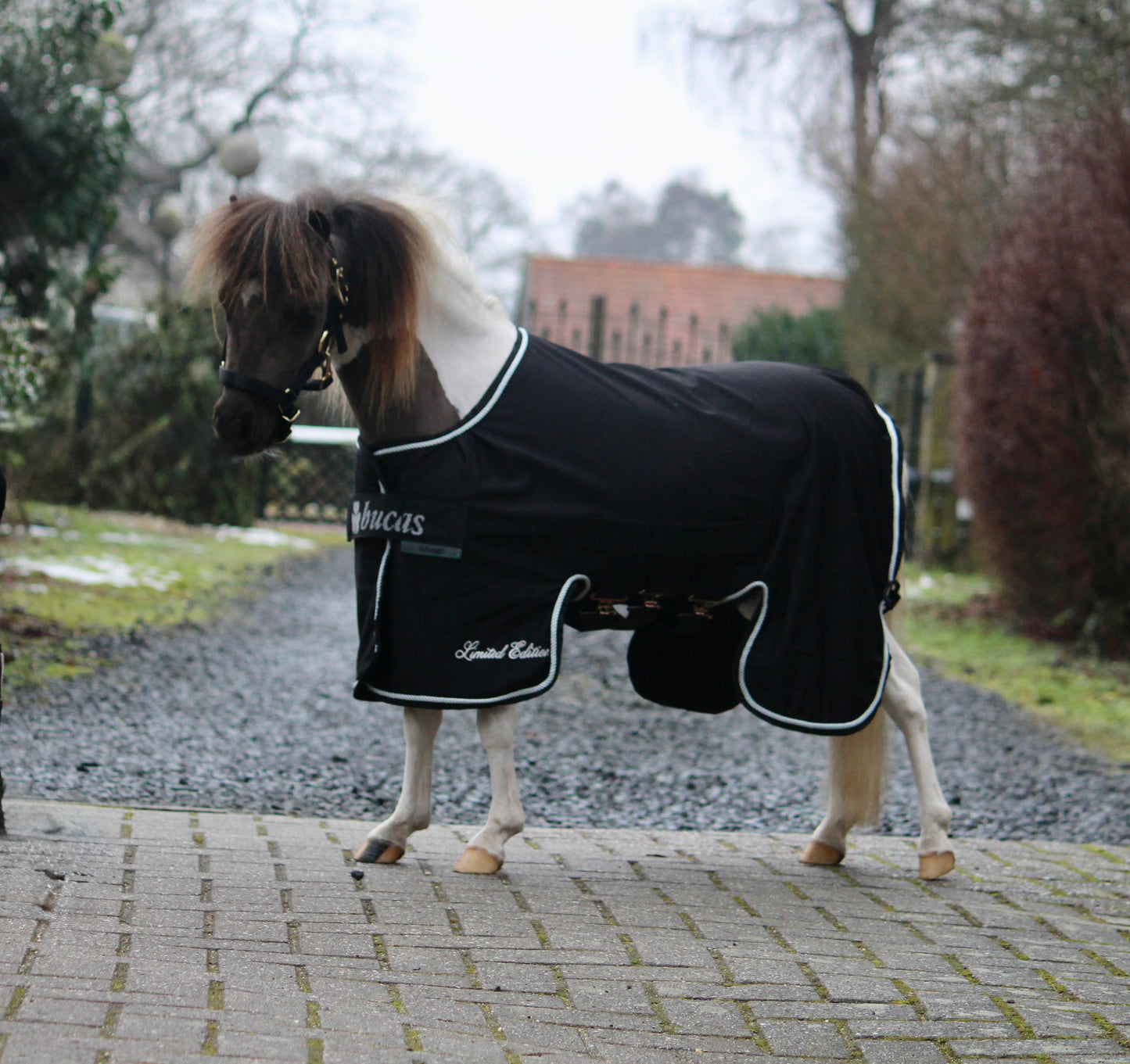 Bucas X-Range Cooler mini