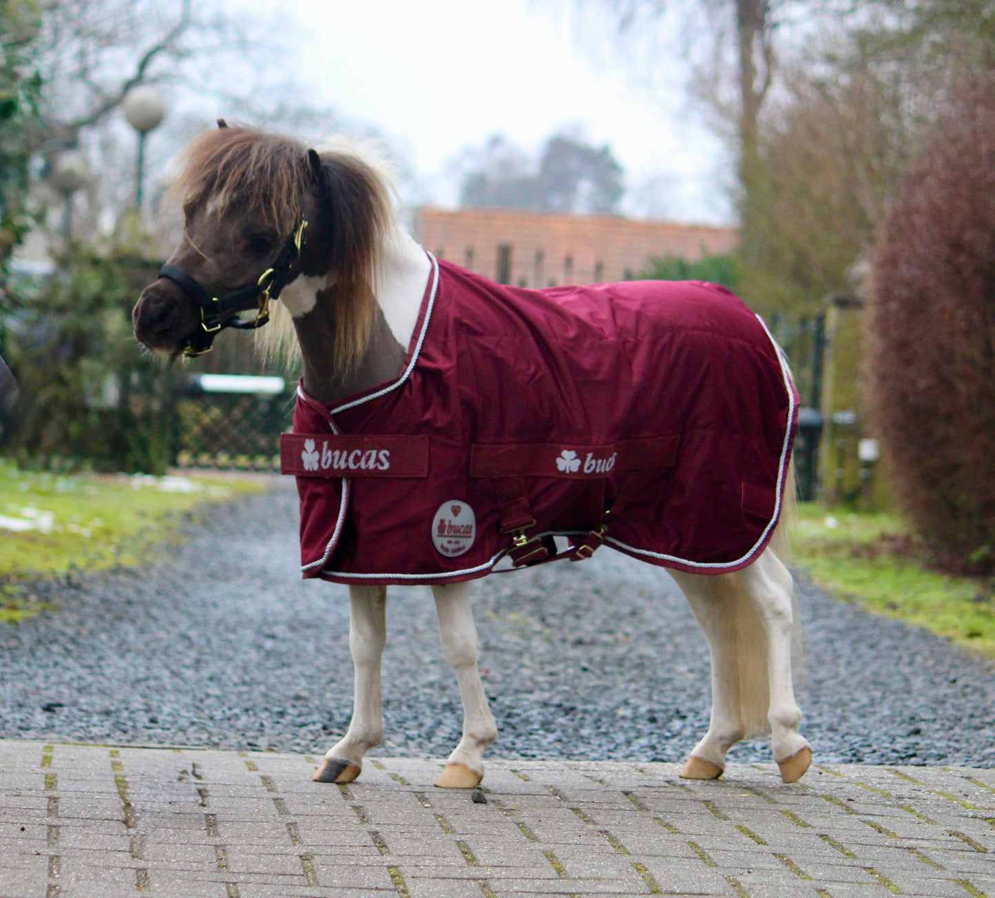 Bucas Jubilee Cooler Ruby mini