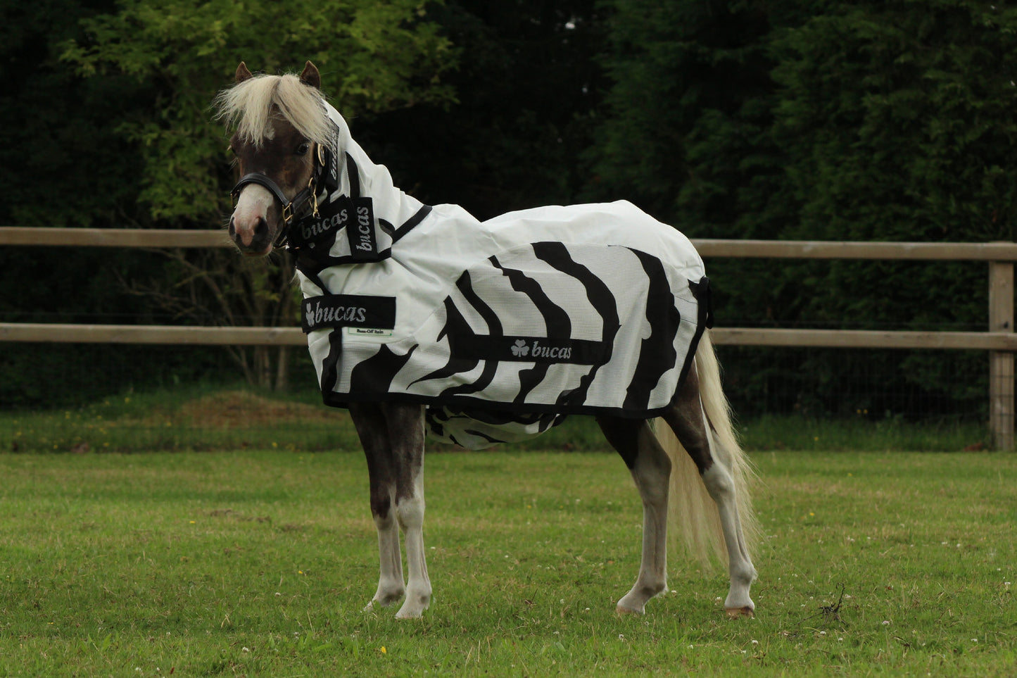 Bucas Buzz Off Rain Zebra & Neck pony