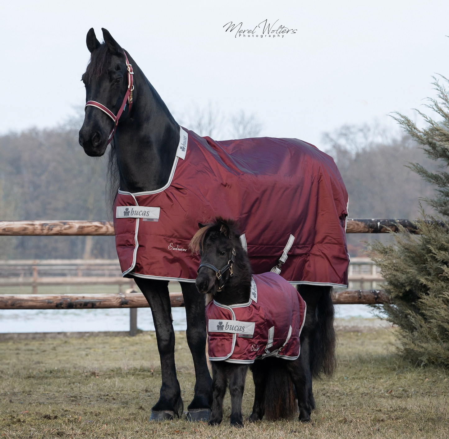 Bucas Atlantic Exclusive Turnout Medium Mini