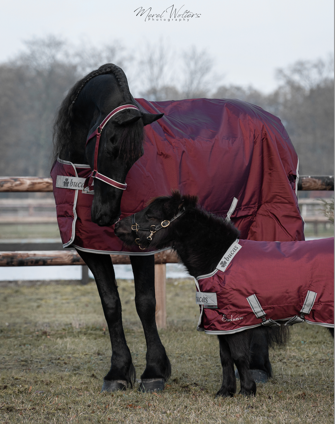 Bucas Atlantic Exclusive Turnout Medium Mini