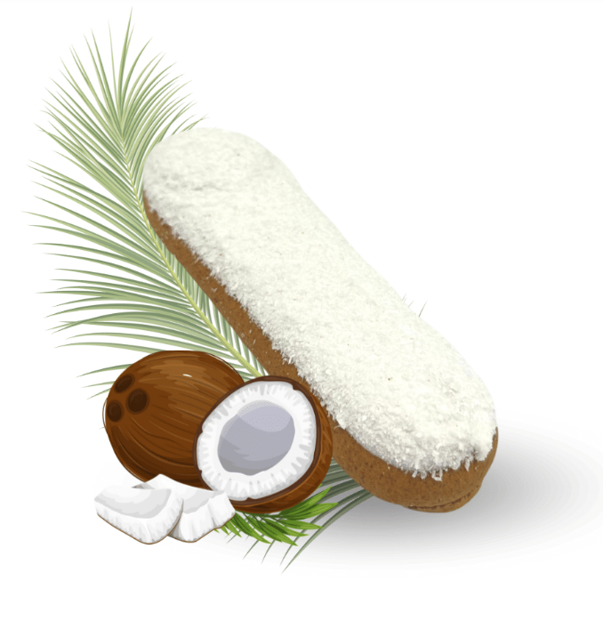 Candy Horse Coconut Éclair | Uniek paardensnoepje met glazuur en echte kokos