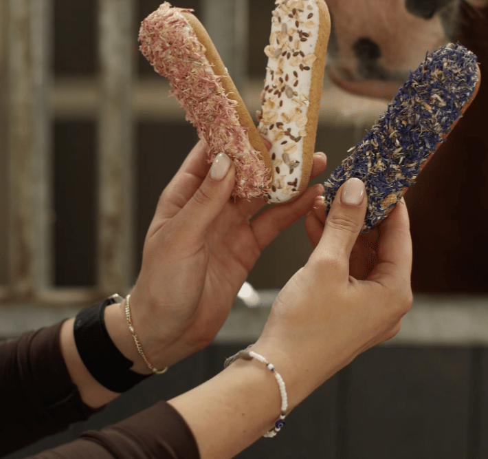 Horse Candy: Cornflower Éclair | Uniek paardensnoepje met glazuur en echte korenbloemblaadjes