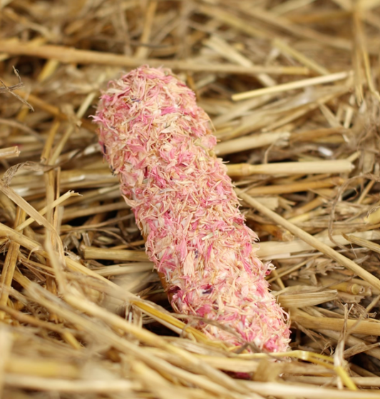 Horse Candy: Pink Cornflower Éclair | Uniek paardensnoepje met roze glazuur en echte korenbloemblaadjes