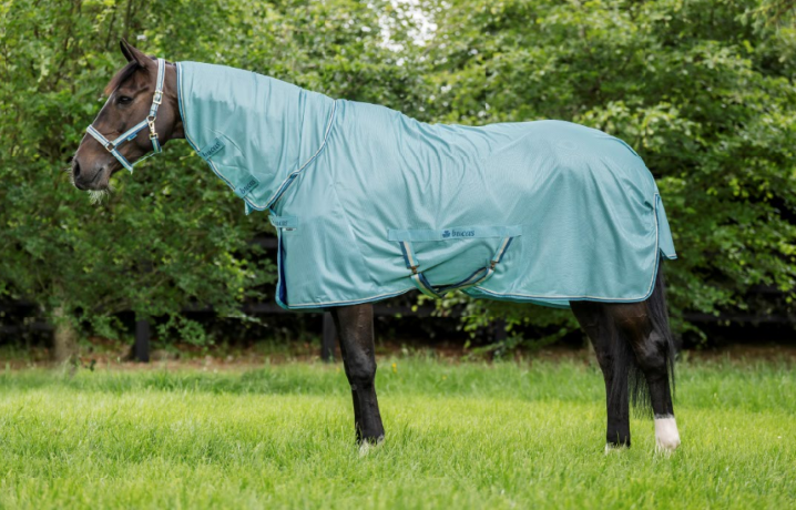 Bucas Freedom Fly Sheet pony