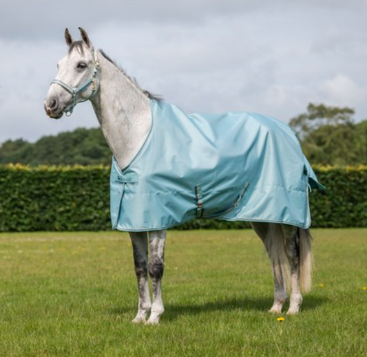 Bucas Freedom Turnout light pony