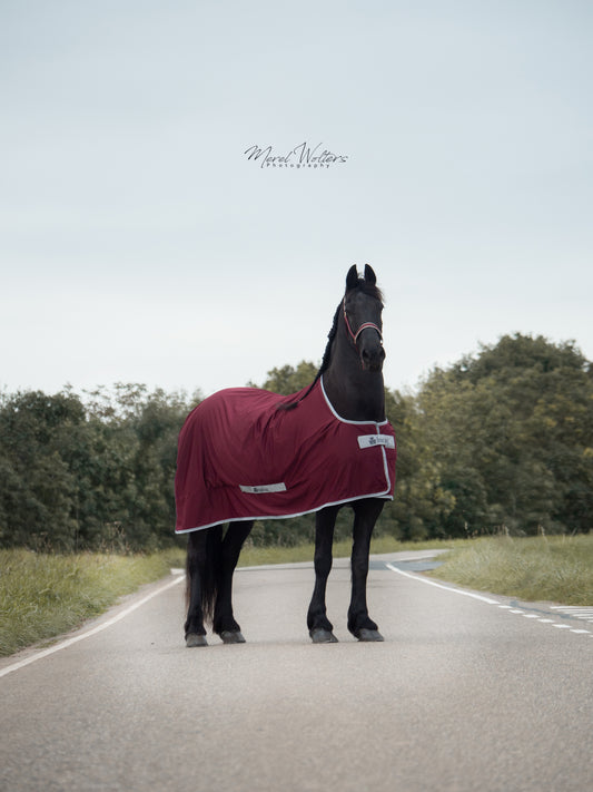 Bucas Shamrock Power Exclusive Mini wine