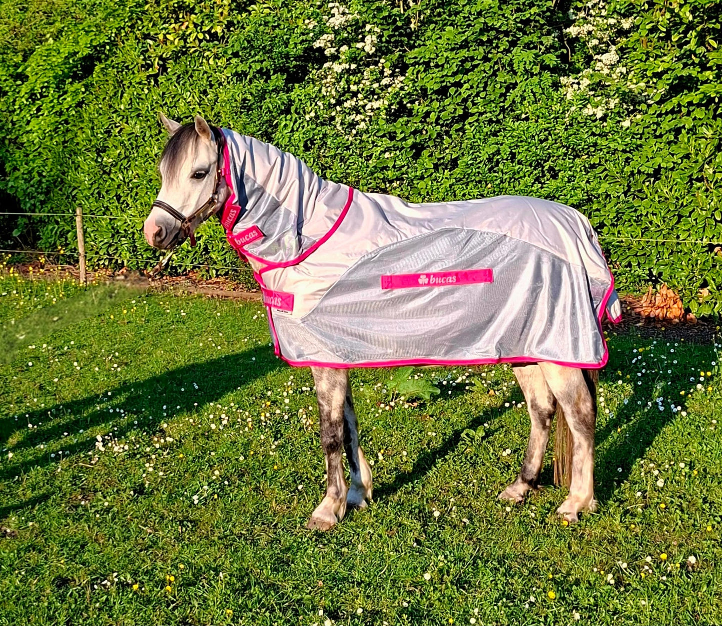 Bucas Buzz Off Rain & Neck pony Blue/blossom
