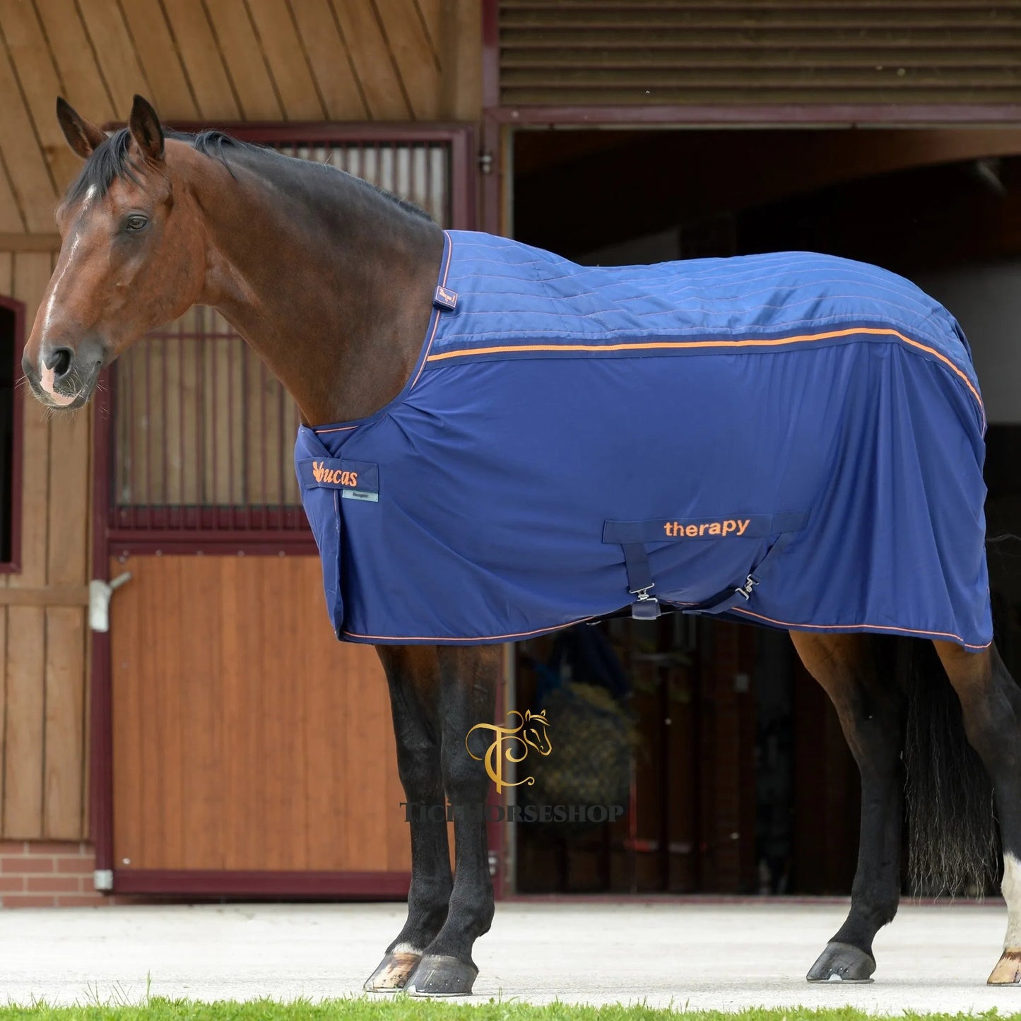 Bucas Therapy Cooler Mini