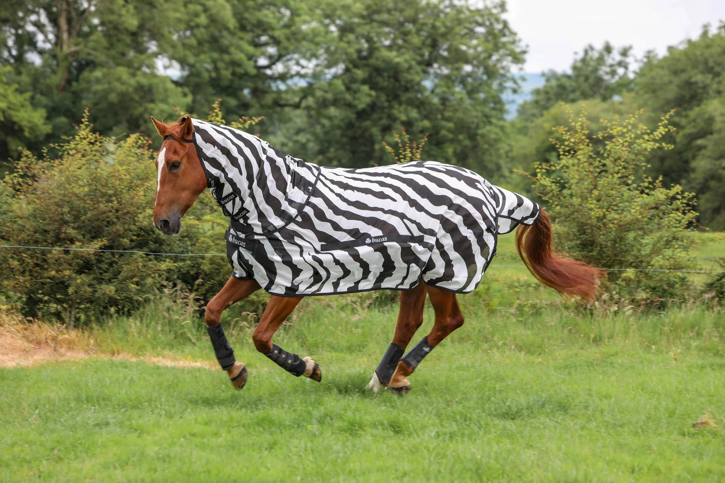 Bucas Buzz-Off & Neck Zebra