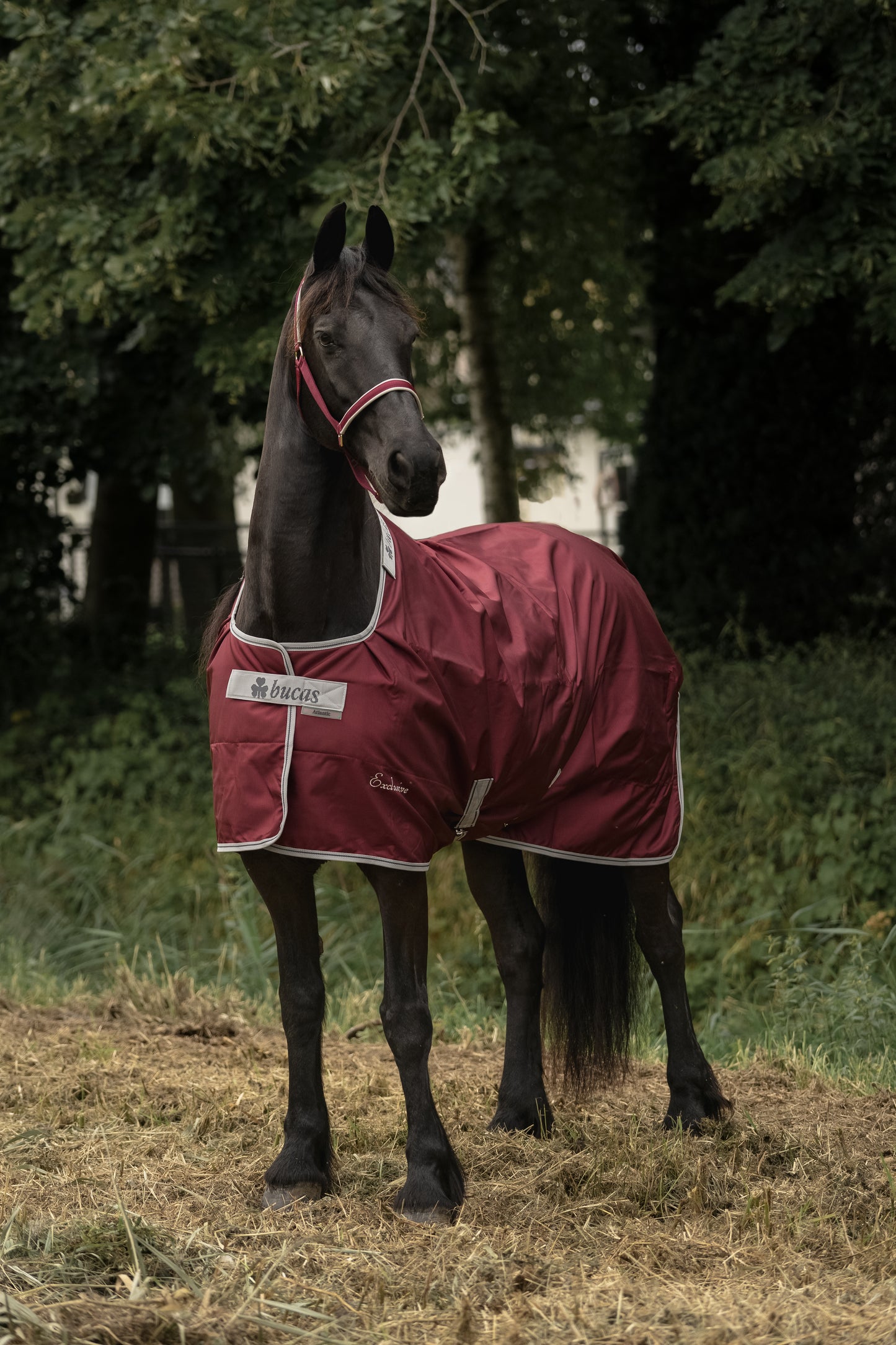 Bucas Atlantic Exclusive Turnout Medium Mini