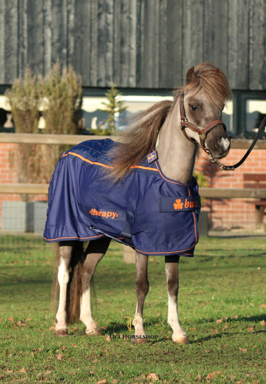 Bucas Therapy Cooler Mini