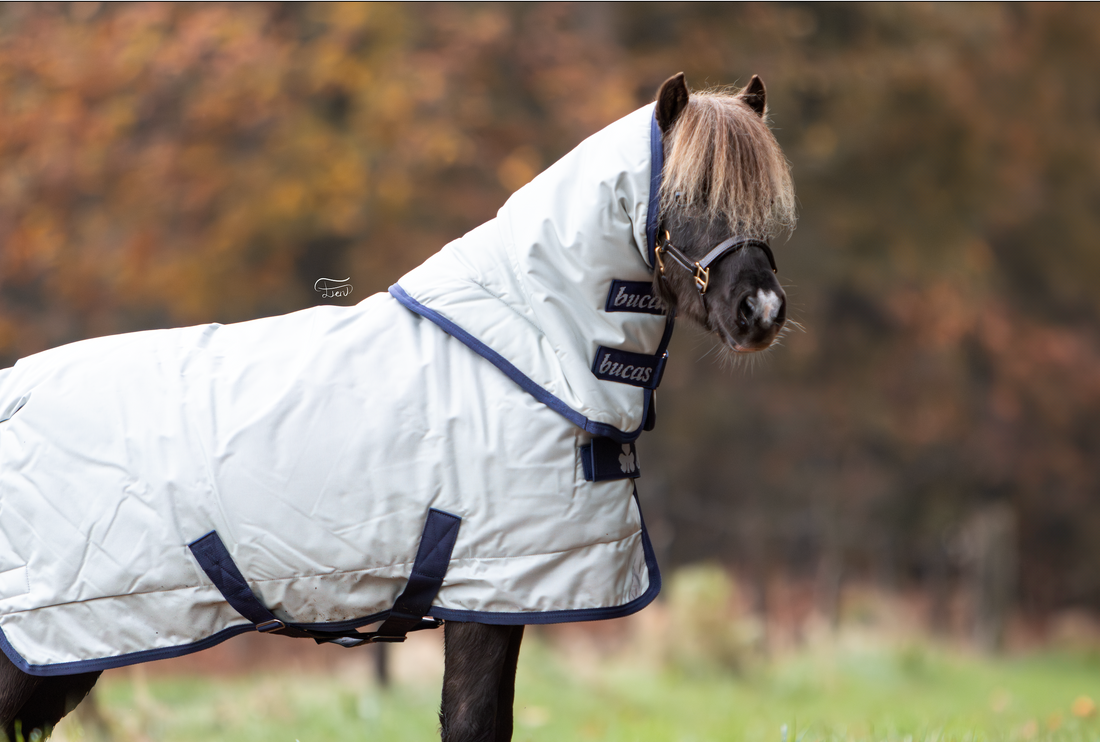 Hoeveel grams paardendeken heb ik nodig?