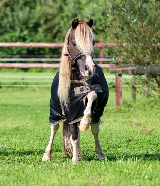 Hoe kies je de juiste Bucas deken voor je minipaard, shetlander, kleine pony of paard?