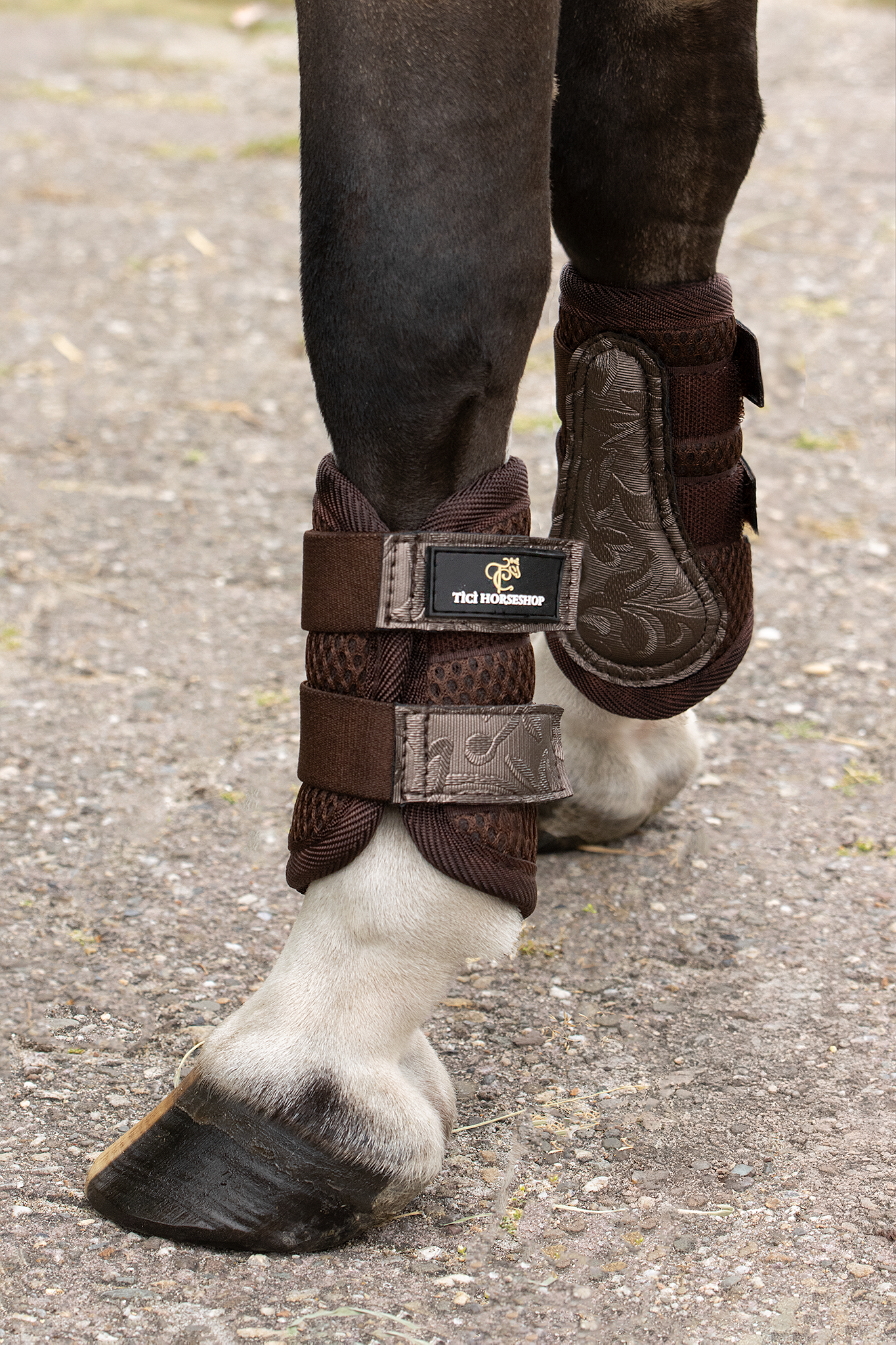 Beenbescherming paard