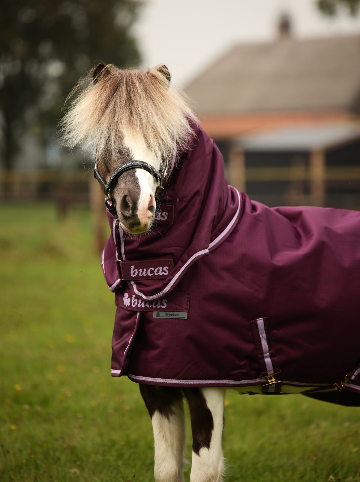 Bucas Freedom Turnout 300 full neck Pony