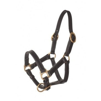 * Leather halter with 2 buckles