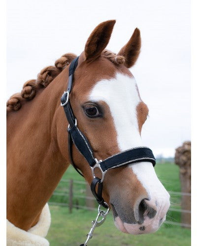 *HB Leather halter 'Velvet'