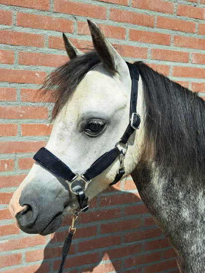 *HB Leather halter 'Velvet'