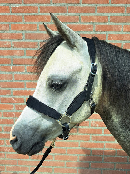*HB Leather halter 'Velvet'
