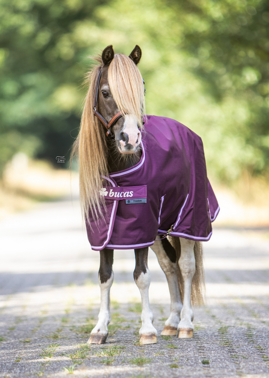 Bucas Freedom Turnout 300 Pony