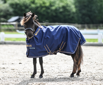 Bucas Irish Turnout Light Mini