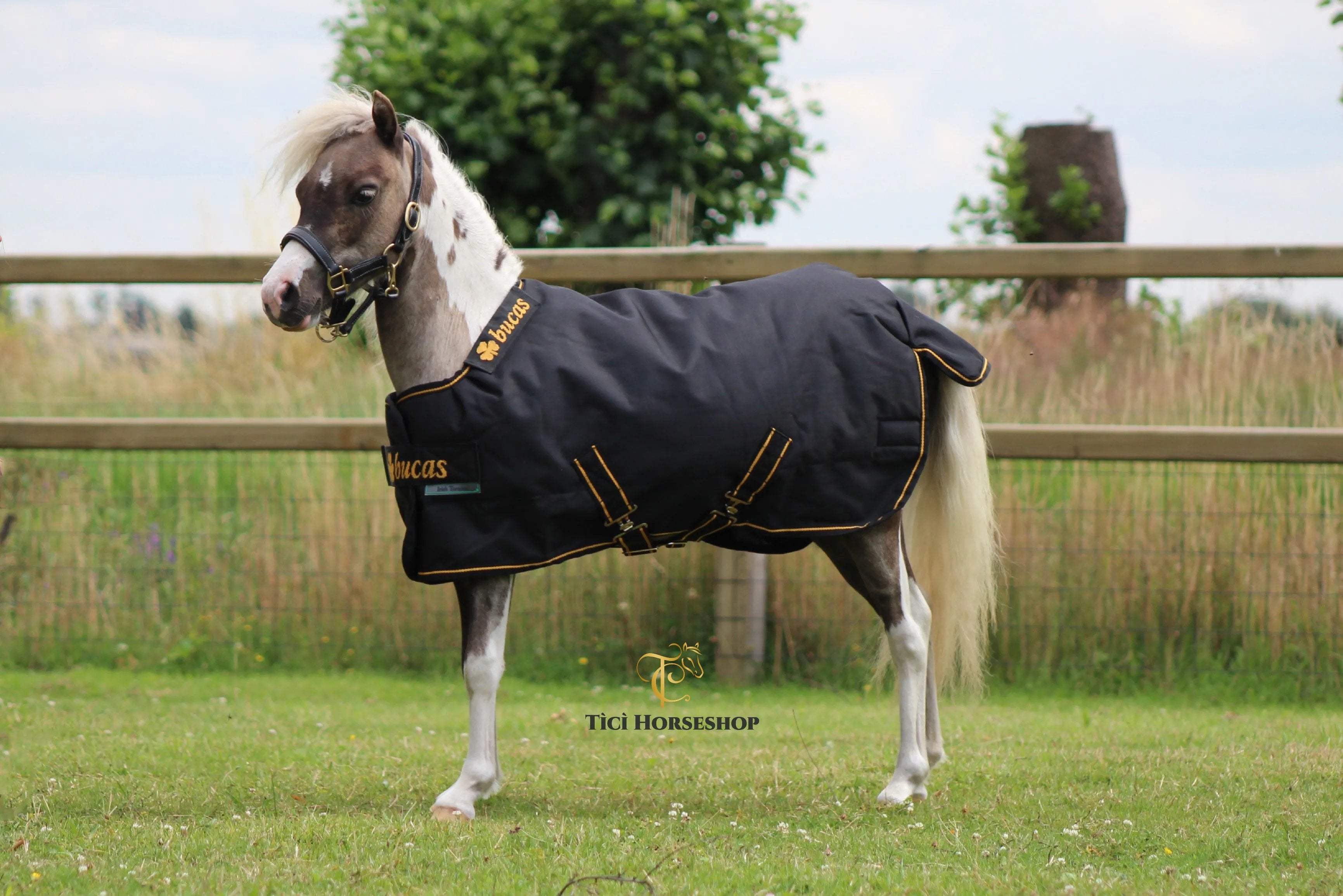 Couverture de pré 300g Bucas Irish turnout extra high-neck - BUCAS Couverture de pré 300g Bucas Irish turnout extra high-neck - BUCAS