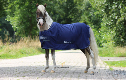 Bucas Power Cooler Mini