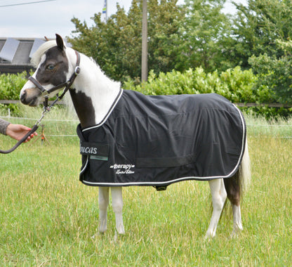 Bucas Therapy Cooler Mini