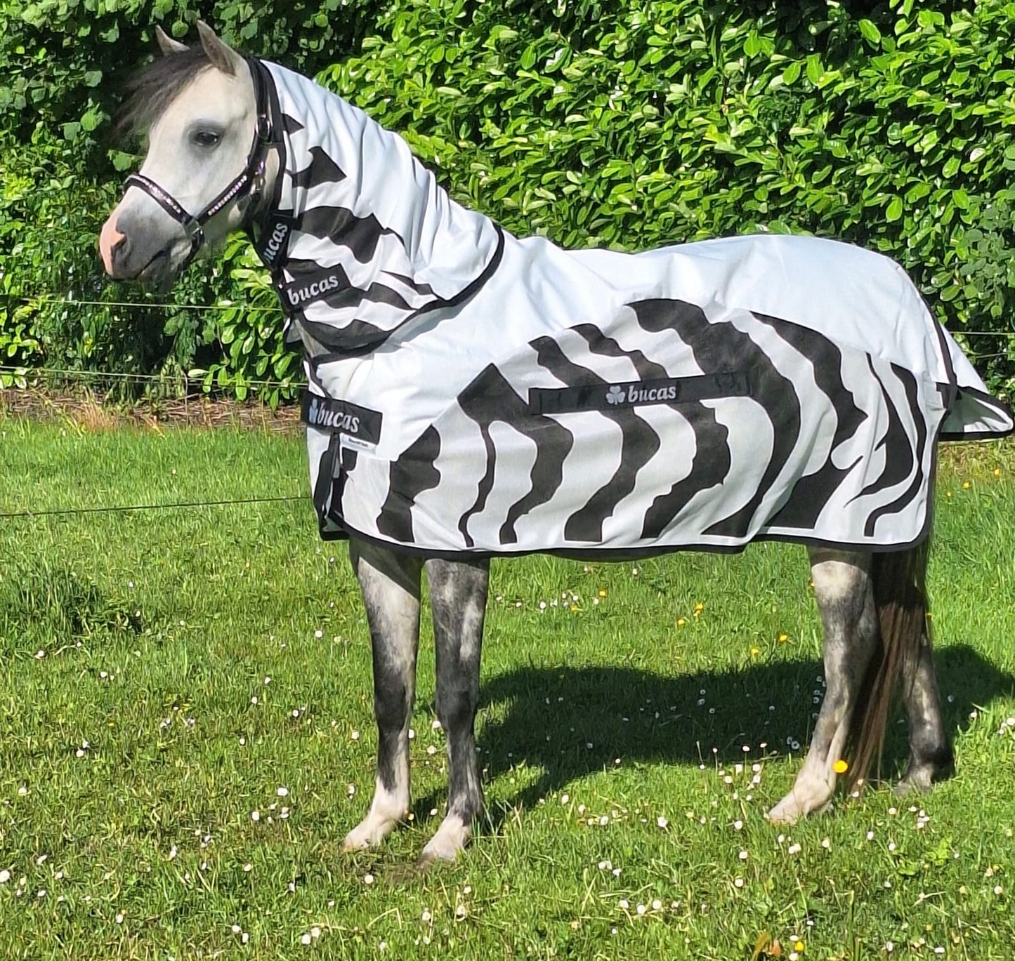 Bucas Buzz Off Rain Zebra & Neck pony