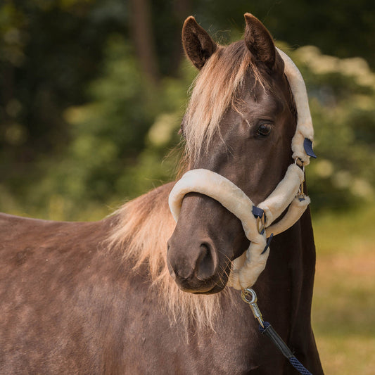 Luxe Halster met Imitatie Bont – Superzacht, Comfortabel & Chique!