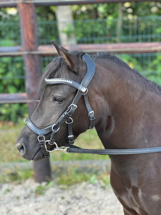 TiCi anatomical bridle "Dream"