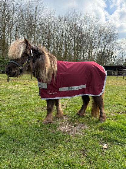 Bucas Shamrock Power Exclusive Mini wine