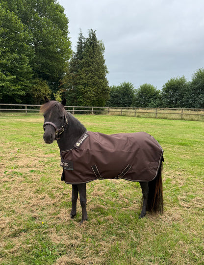 Bucas Irish Turnout Light/50 + Neck set Espresso