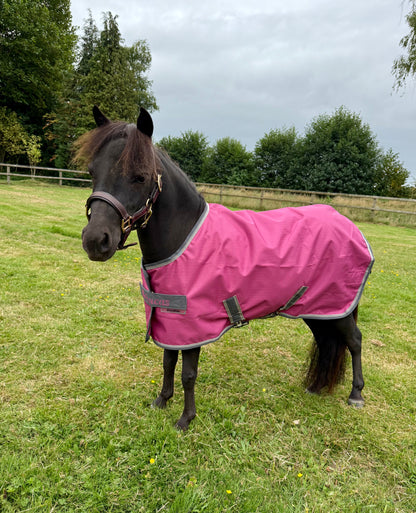 Bucas Freedom Turnout light pony