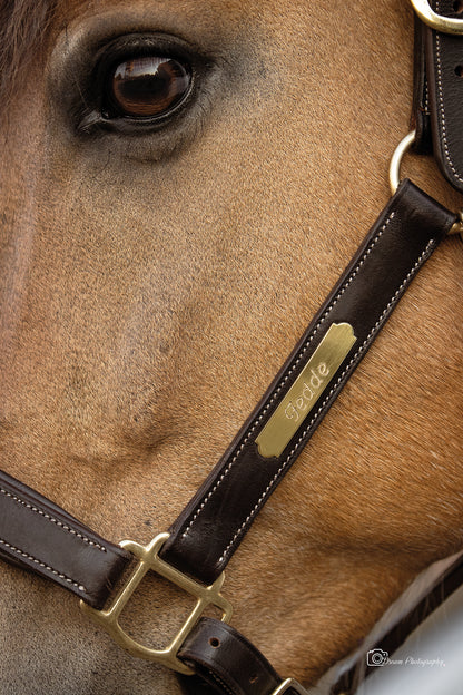 TiCi luxe anatomisch lederen halster "Bunga" met naamplaatje