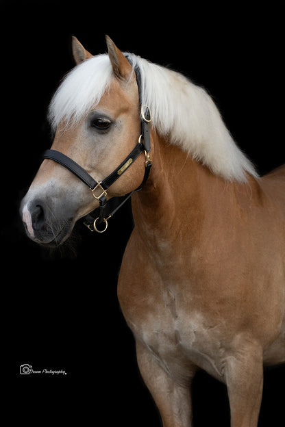 TiCi luxe anatomisch lederen halster "Bunga" met naamplaatje