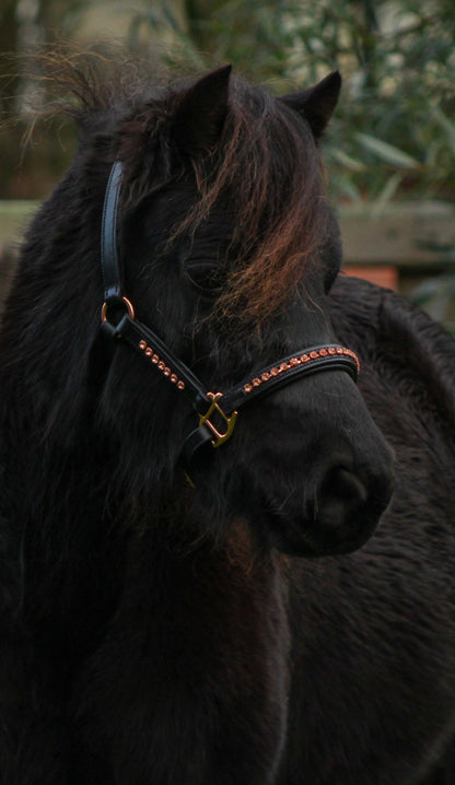 TiCi luxe lederen halster met bling "Valeria"