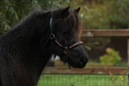 TiCi luxe lederen halster met bling "Valeria"