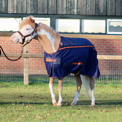 Bucas Therapy Cooler