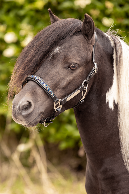 TiCi luxe lederen halster "Crushed Stones" met naamplaatje & steentjes