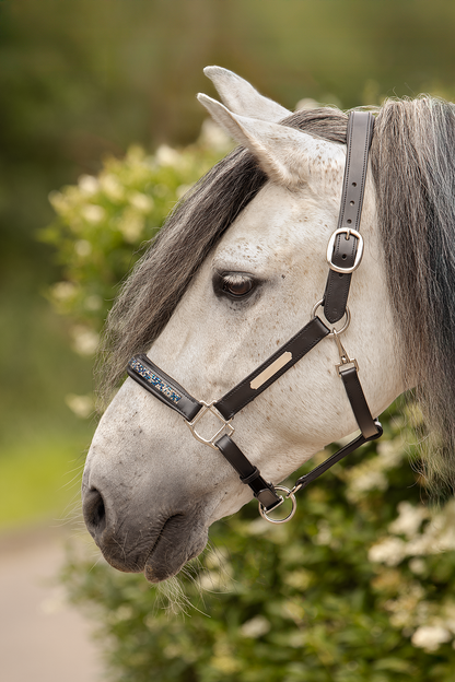 TiCi luxe lederen halster "Crushed Stones" met naamplaatje & steentjes