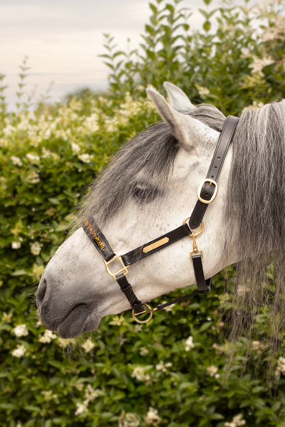 TiCi luxe lederen halster "Crushed Stones" met naamplaatje & steentjes