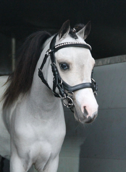 TiCi anatomisch hoofdstel "Dream"