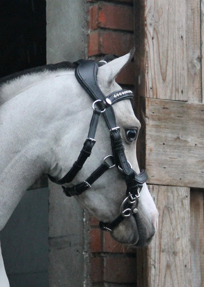 TiCi anatomisch hoofdstel "Dream"