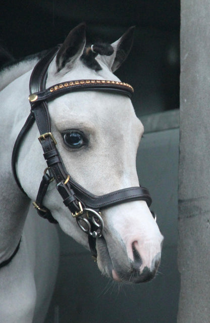 TiCi anatomisch hoofdstel "Dream"